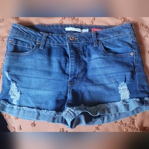 Celebrity Pink "the honey" Shorts